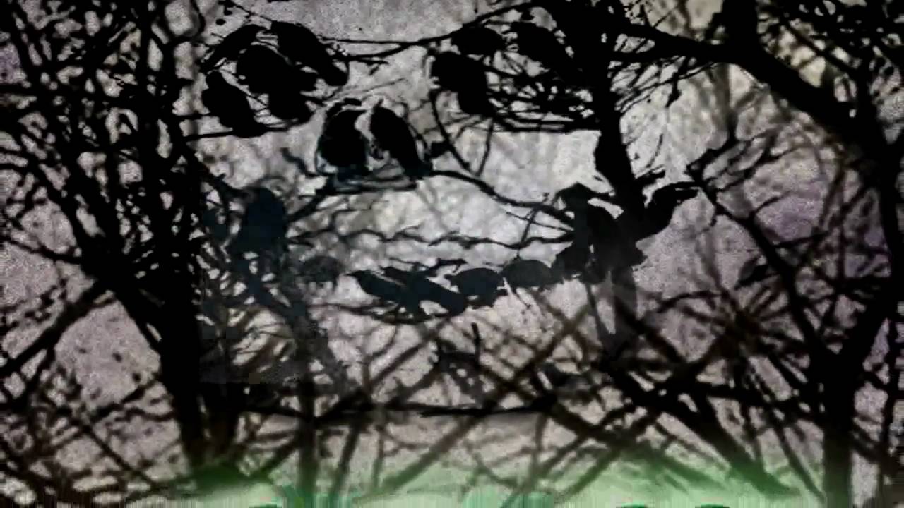 1013 Briar Lane - Leave the lights on