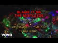 Toby Keith - Blame It On The Mistletoe (Karaoke)