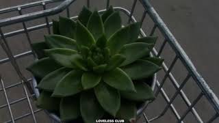 Younha – Snail Mail [Sub. Español]