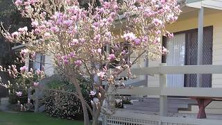 Annies Holiday Units, Beechworth, Australia | Sita Hotel Gallery