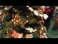 Nochebuena Swaggy Christmas AMV