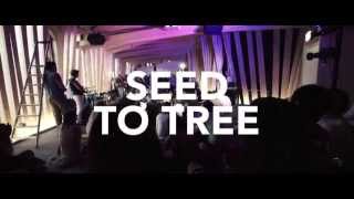 Wandering - SEED TO TREE - EXIT:LX Session live