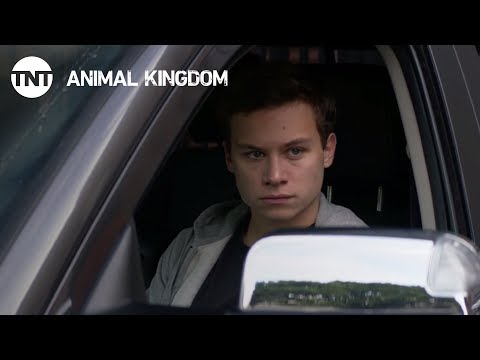 Animal Kingdom Season 2 (Promo 'Heist')