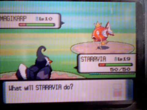 Pokemon Diamond/Pearl Route 205