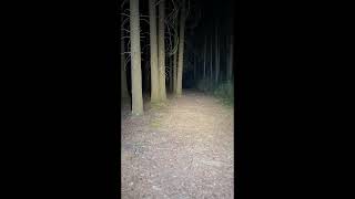 Acebeam X20 - R