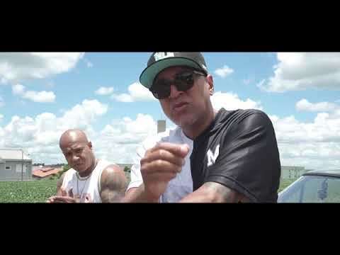 ATITUDE CONSCIENTE / EDIE / CAMINHOS