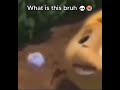 Memes from the basement #memes #lol #funnymemes #fypシ゚ #foryou #devious