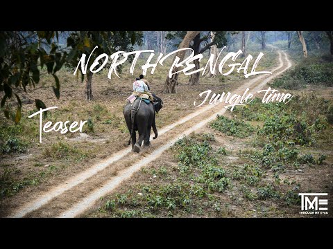NORTH BENGAL JUNGLE TIME TEASER | JALDAPARA | BUXA | JAYANYTI | MAHAKAL | TOTOPARA