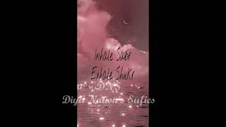 Dama Dam Mast Qalandar Lyrics   ||    Runa Laila   ||   by DNS   ||   Diya Nation's Sufies