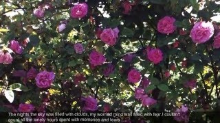 You Changed My Life In A Moment by Janie Fricke (1978)