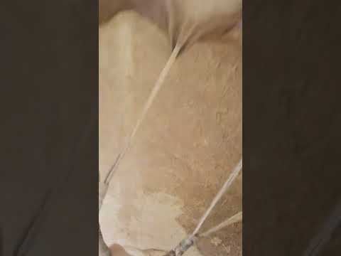 24" fellow deer medicine drum sound. one off. similar sound to goat. best w headphones good speakers