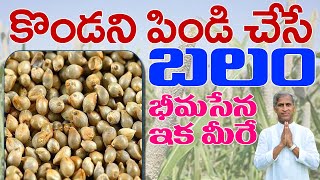 Nutritional Importance of 😇 Pearl Millet ❓ | Avoid Gas & Gas Pains | Dr Manthena Satyanarayana Raju