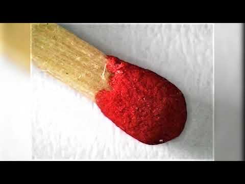 Matches, Zip, Feather & Paint Brush Under Microscope | Micro-World