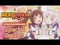 TV Animation NEKOPARA　Special Report（English）