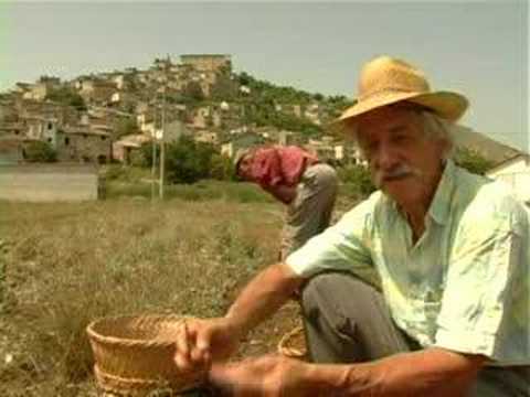 download lagu mp3 mp4 Zafferano Navelli, download lagu Zafferano Navelli gratis, unduh video klip Zafferano Navelli