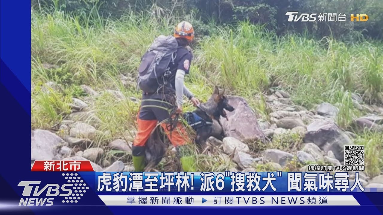 爸爸等妳!父帶女童玩偶 溪邊苦守消息