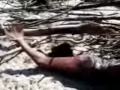 Dead Mermaid Found On Beach - YouTube