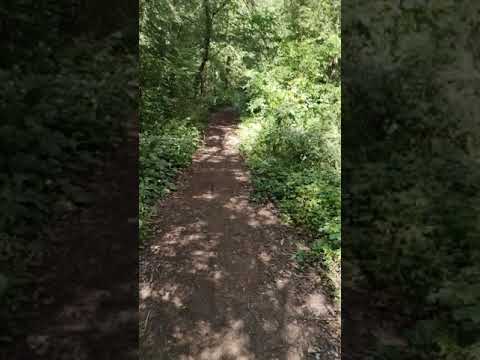 Poco F2 Pro stabilisation video test / demo