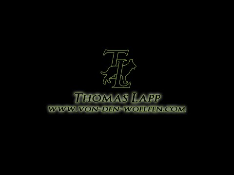 Lord Ad-Gür - Nachzucht / Breeding