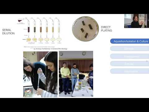 YouTube video
