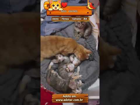 Vídeo de sem nomes