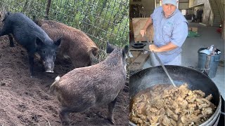 Trapping Wild Pigs In Louisiana (Catch*Clean*Cook) Huge Pork Gravy For 150 People