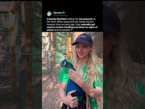 Amanda Seyfried's Pet Peacock 🦚