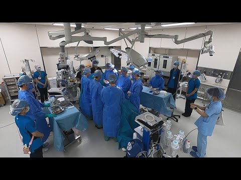 凍結ドナー臓器