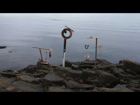 Noah Jordan and Hadar Mitz - Bone Saga (Höfuðkúpa)