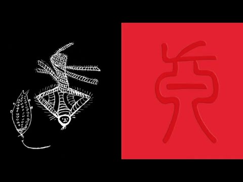 Cassina Details Collection with cc-tapis