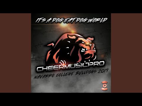 Navarro College Bulldogs 2019