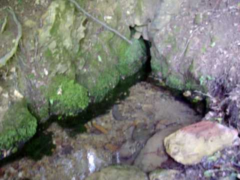 Vrella e Revuqit.MOV