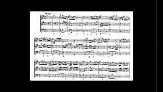 Telemann; Marcel Ponseele - Triosonate voor hobo, klavecimbel solo en continuo in e video