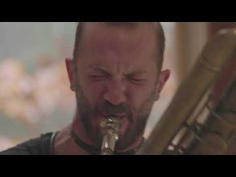 Adult Swim Festival: 2021