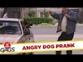 JFL Prank Angry Dog Gag