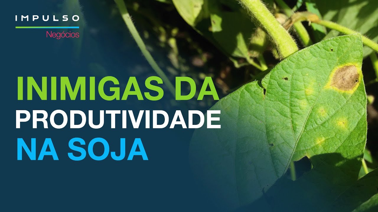 Soja: eficiência no controle de doenças | Impulso Negócios EP. 146