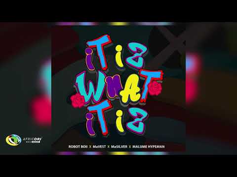 Robot Boii, Mavest and MaSilver - IT IZ WHAT IT IZ [Feat. malume.hypeman] (Official Audio)
