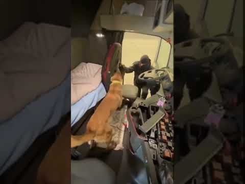 На „Капитан Андреево“: Митничари откриха кокаин за близо 300 000 евро (ВИДЕО)