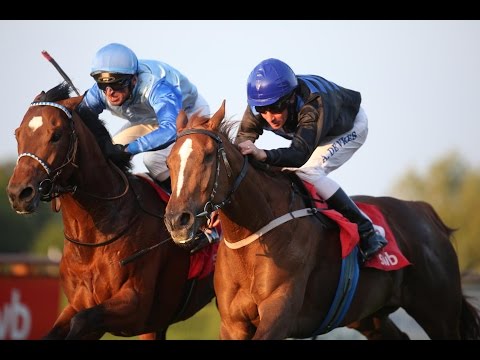 Bremen: Prix Maxios (D) - Siegerin: Adelaide Rose