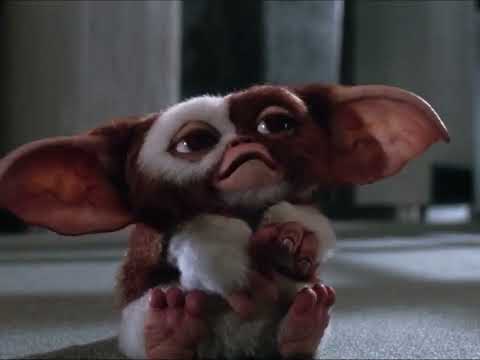 Gremlins 2 but only gizmo on the screen fixed(Reuploaded)