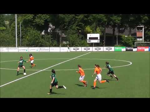 Orion VR3 - Trekvogels VR3 (20-5-2018)