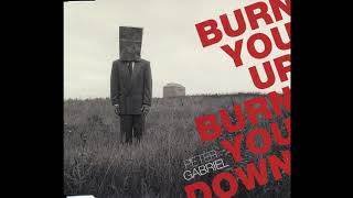 Peter Gabriel - Burn You Up, Burn You Down (radio edit)