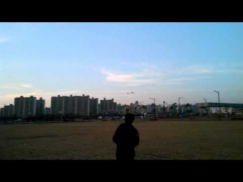 DLG Predator 140206-1