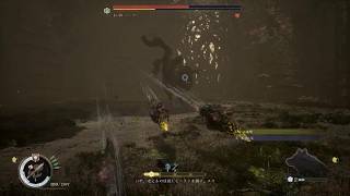 Beast of Reincarnation　ヌシウシ　2戦目　フェーズ1