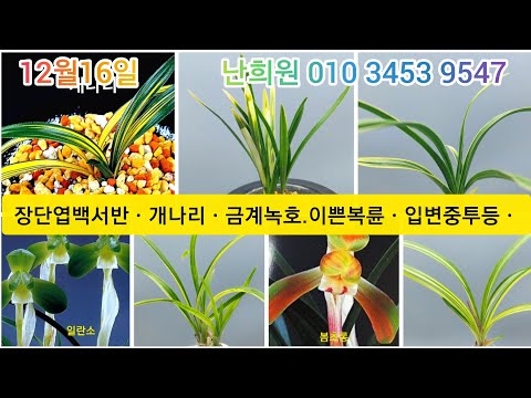 유튜브 썸네일
