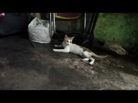 Rowdy baby playing with ladies finger 😂