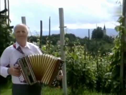 Lojze Slak - S harmoniko na rajžo