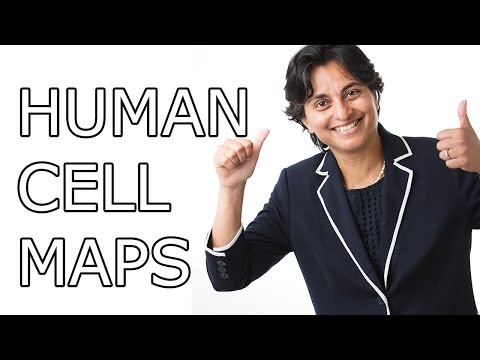 The Human Developmental Cell Atlas - mapping how all our cells develop | Professor Muzlifah Haniffa