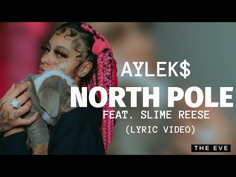 Aylek$ - North Pole (feat. Slim Reese) (Lyric Video)