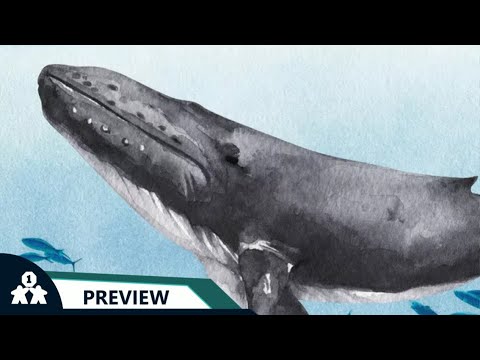 Solo Preview Play and Impressions | One Stop Co-Op Shop